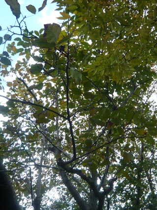 f0222692_1417481.jpg