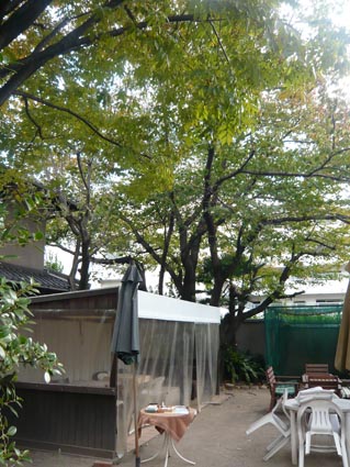f0222692_14221932.jpg