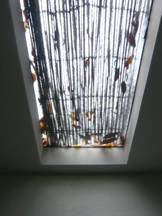 f0222692_14324557.jpg