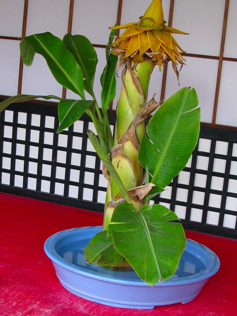 f0181394_1610149.jpg