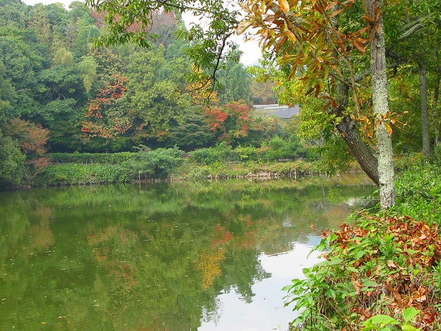 f0181394_161816.jpg