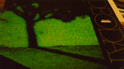 c0202101_1303150.jpg