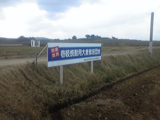 b0029202_179350.jpg