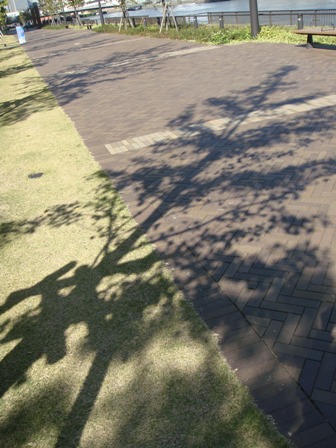 a0167803_2342428.jpg