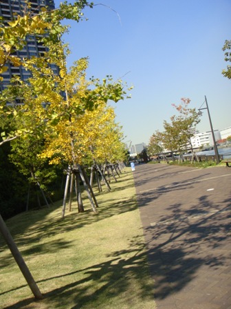 a0167803_23451372.jpg