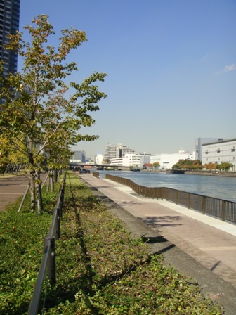 a0167803_23455270.jpg