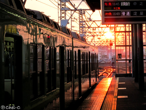 a0154706_1953359.jpg