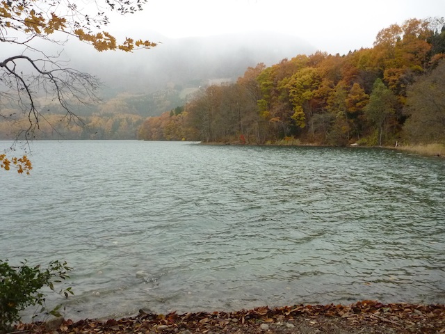 d0171906_155551.jpg