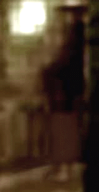 e0103408_13541633.gif