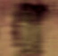 e0103408_146305.gif