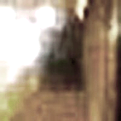e0103408_1465294.gif