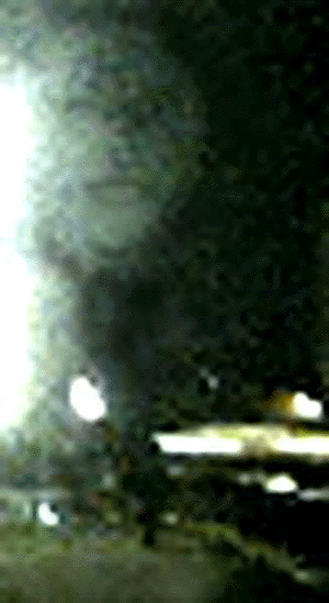 e0103408_17391156.gif