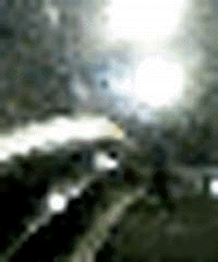 e0103408_17472587.gif