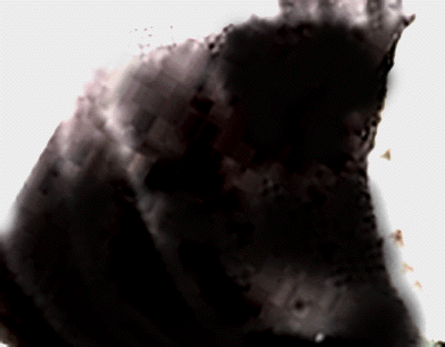 e0103408_203976.gif