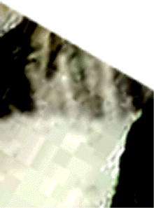 e0103408_211079.gif