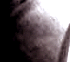 e0103408_211835.gif