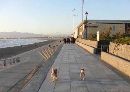 e0078510_2231831.jpg