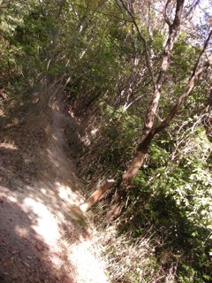 b0183911_22464998.jpg
