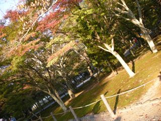 b0183911_2301561.jpg
