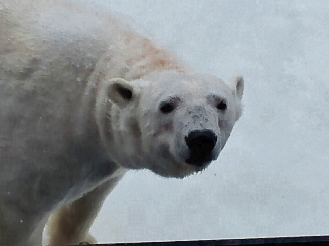 a0151913_16331497.jpg
