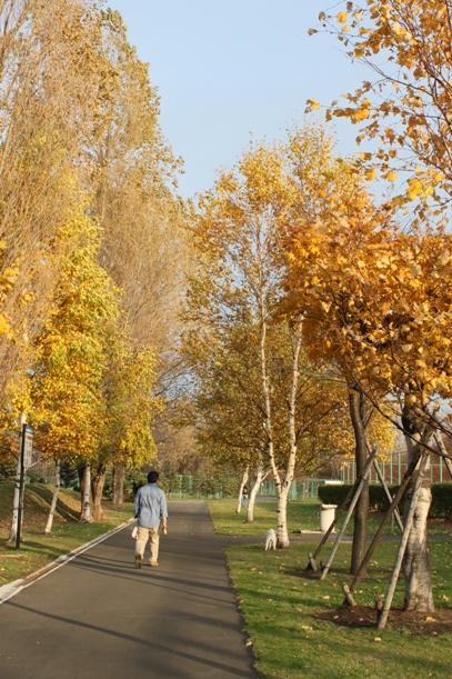 a0109914_145443.jpg