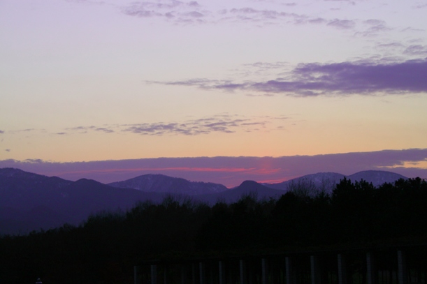a0109914_243024.jpg