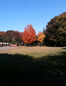 b0143714_16412414.jpg