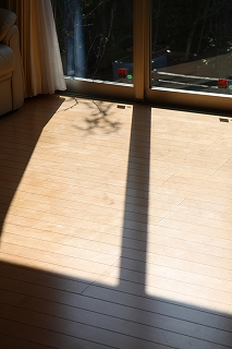 b0163114_1249467.jpg