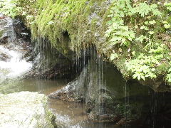 a0157619_22493333.jpg