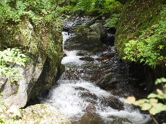 a0157619_22495873.jpg