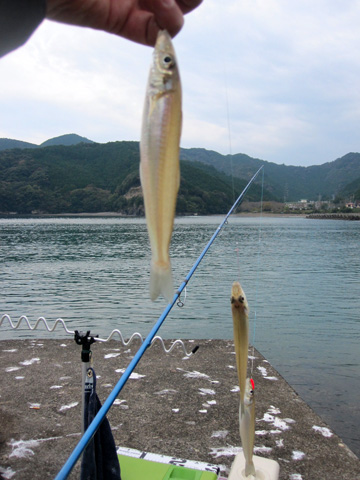 b0186119_1764919.jpg