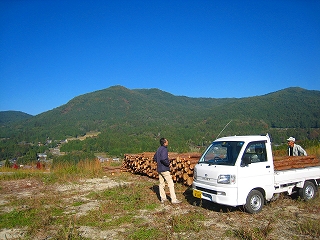 e0002820_601423.jpg