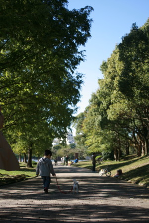 f0097620_20231441.jpg