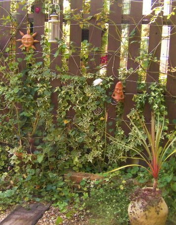c0204121_1337057.jpg