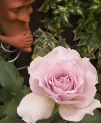 c0204121_1838162.jpg