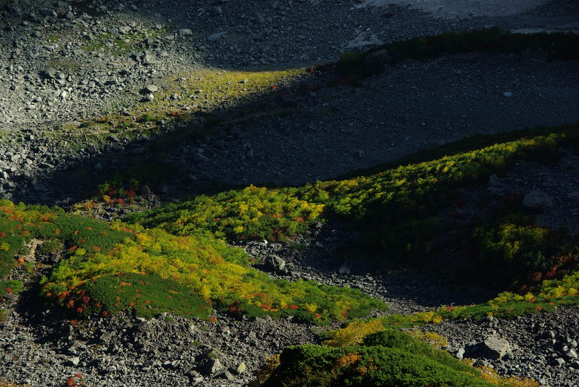 b0062024_22141584.jpg