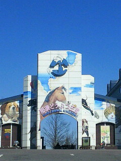 c0074025_10451587.jpg