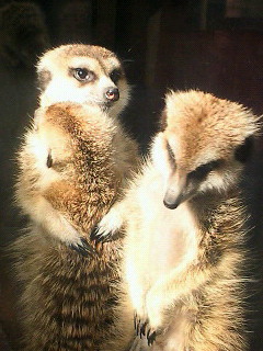 c0074025_10523040.jpg