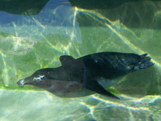 c0074025_10535474.jpg