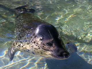 c0074025_11293511.jpg