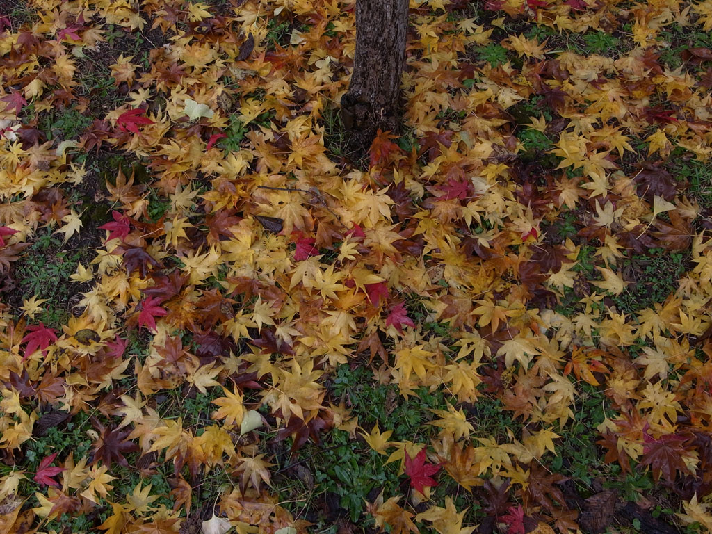 b0085526_15253770.jpg