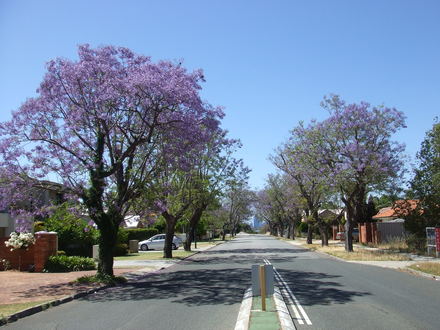 e0016828_10544524.jpg
