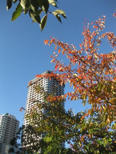 c0177332_21143076.jpg
