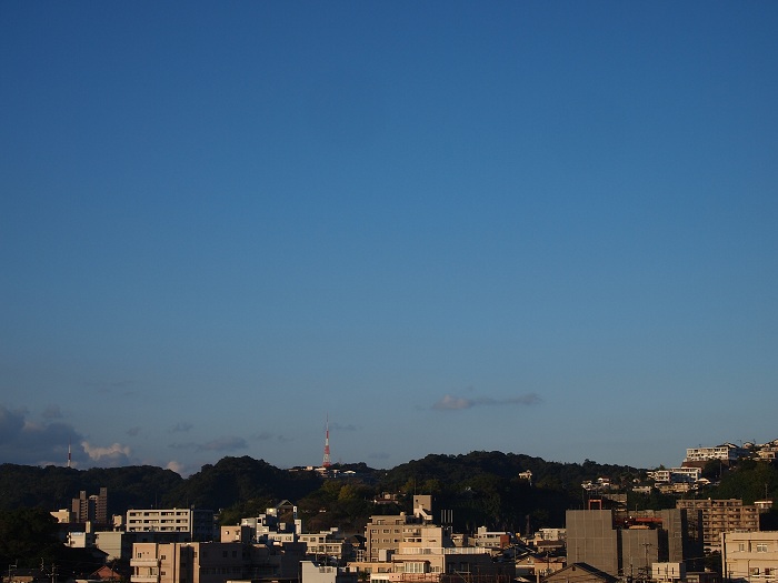 a0146442_7571718.jpg