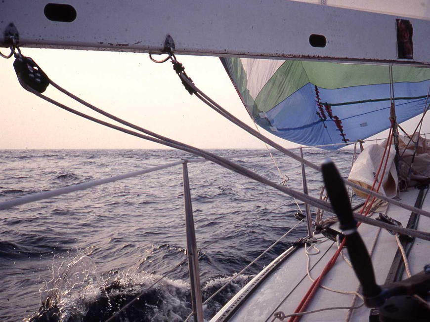 e0114543_1428994.jpg