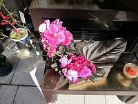 e0080345_8573320.jpg