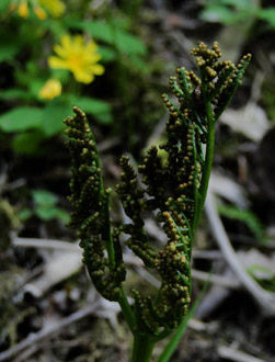 d0163550_7425220.jpg