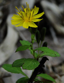 d0163550_749861.jpg