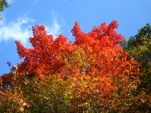 c0179351_2117856.jpg