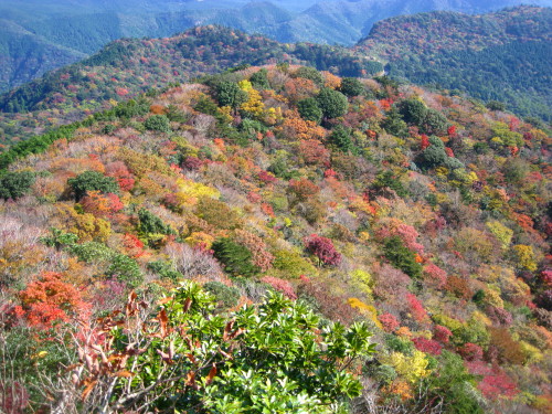 c0179351_21195517.jpg